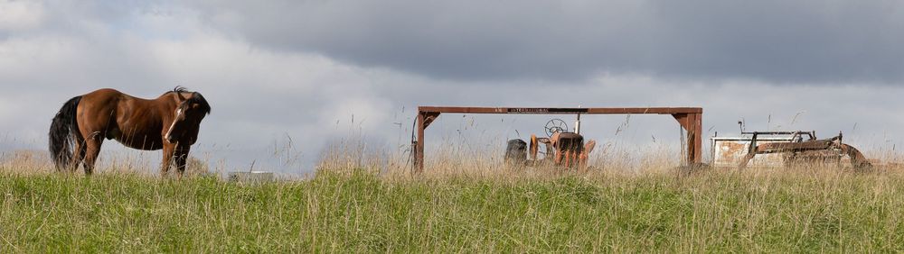 rural Pennsylvania scene with horse