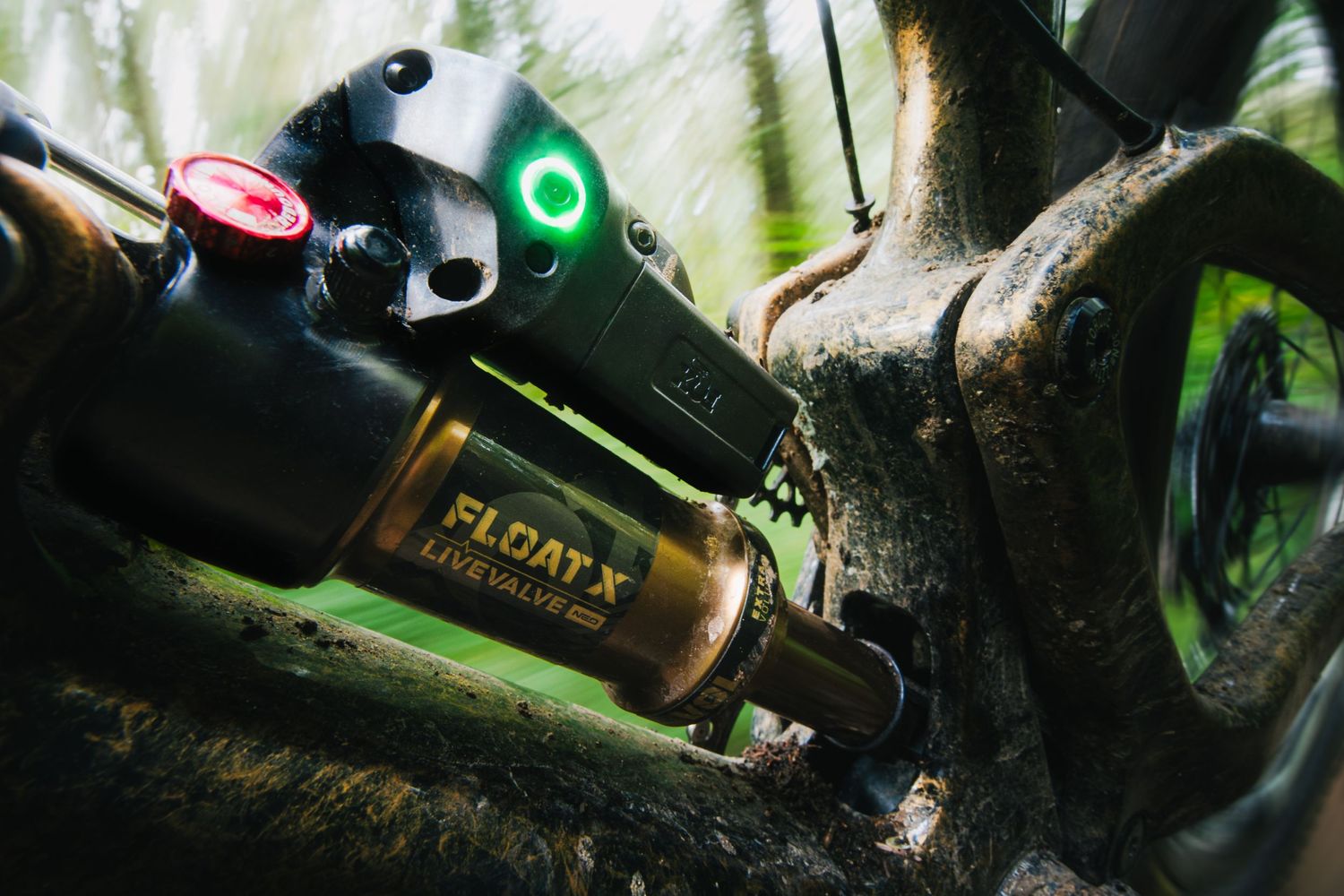Close-up of Fox Float X Neo mountain bike shock absorber in  motion blurred forest setting.
