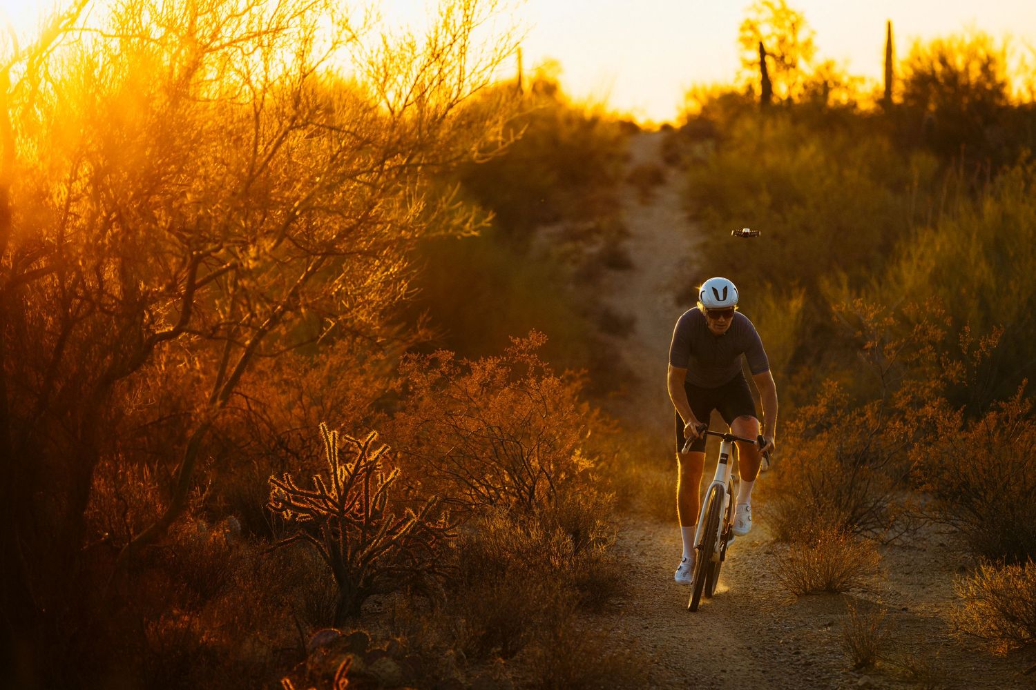 Mountain biker riding on desert trail during golden sunset with saguaro cacti silhouetted in background.