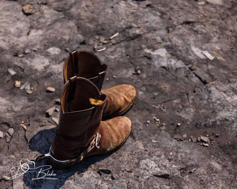 A pair of well-worn brown cowboy boots sit on rocky ground with a butterfly.