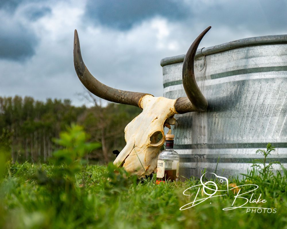 Longhorn cattle skull mounted near galvanized metal tank in green grass under stormy sky.