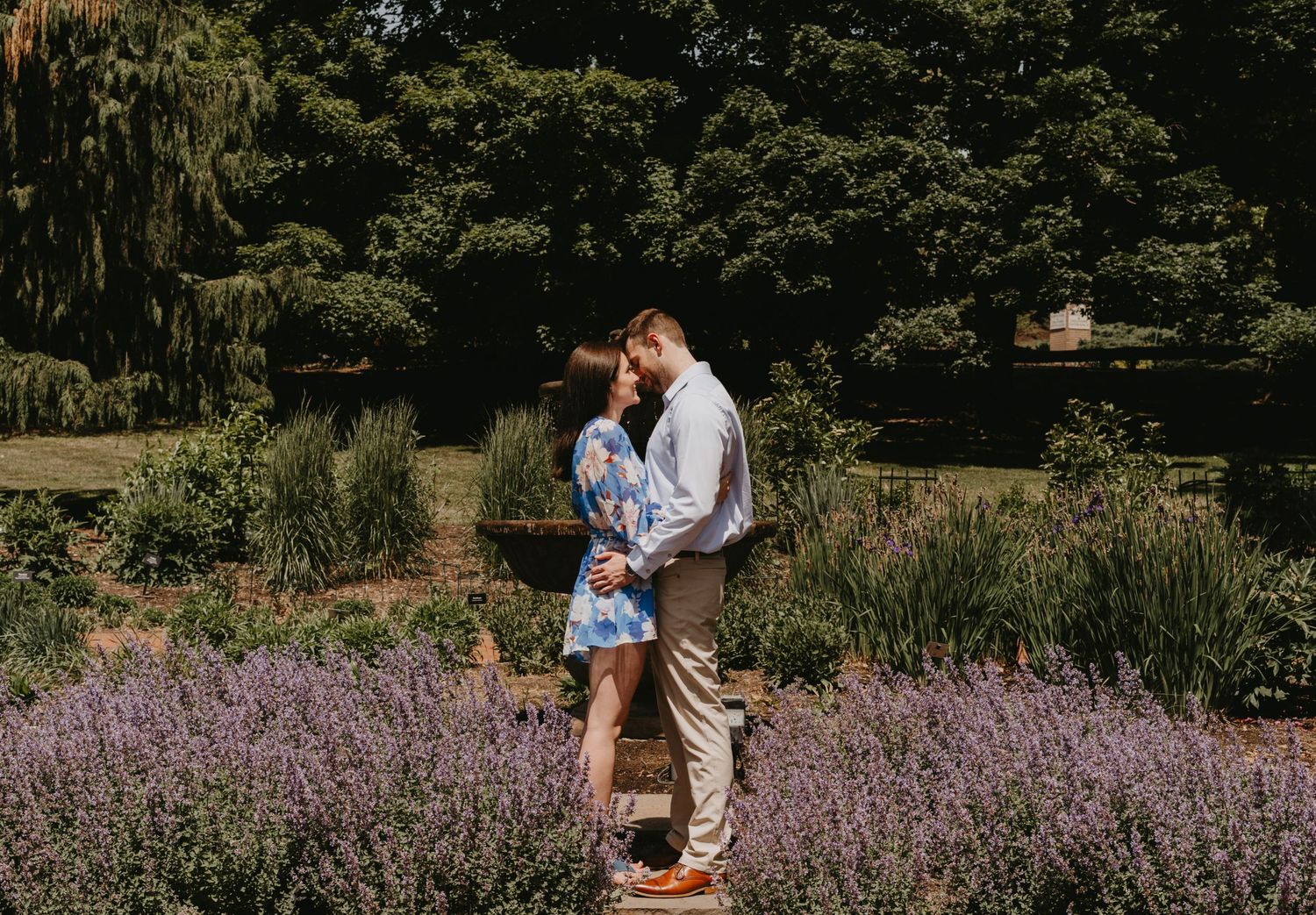 A romantic moment captured in a garden with blooming purple lavender flowers.