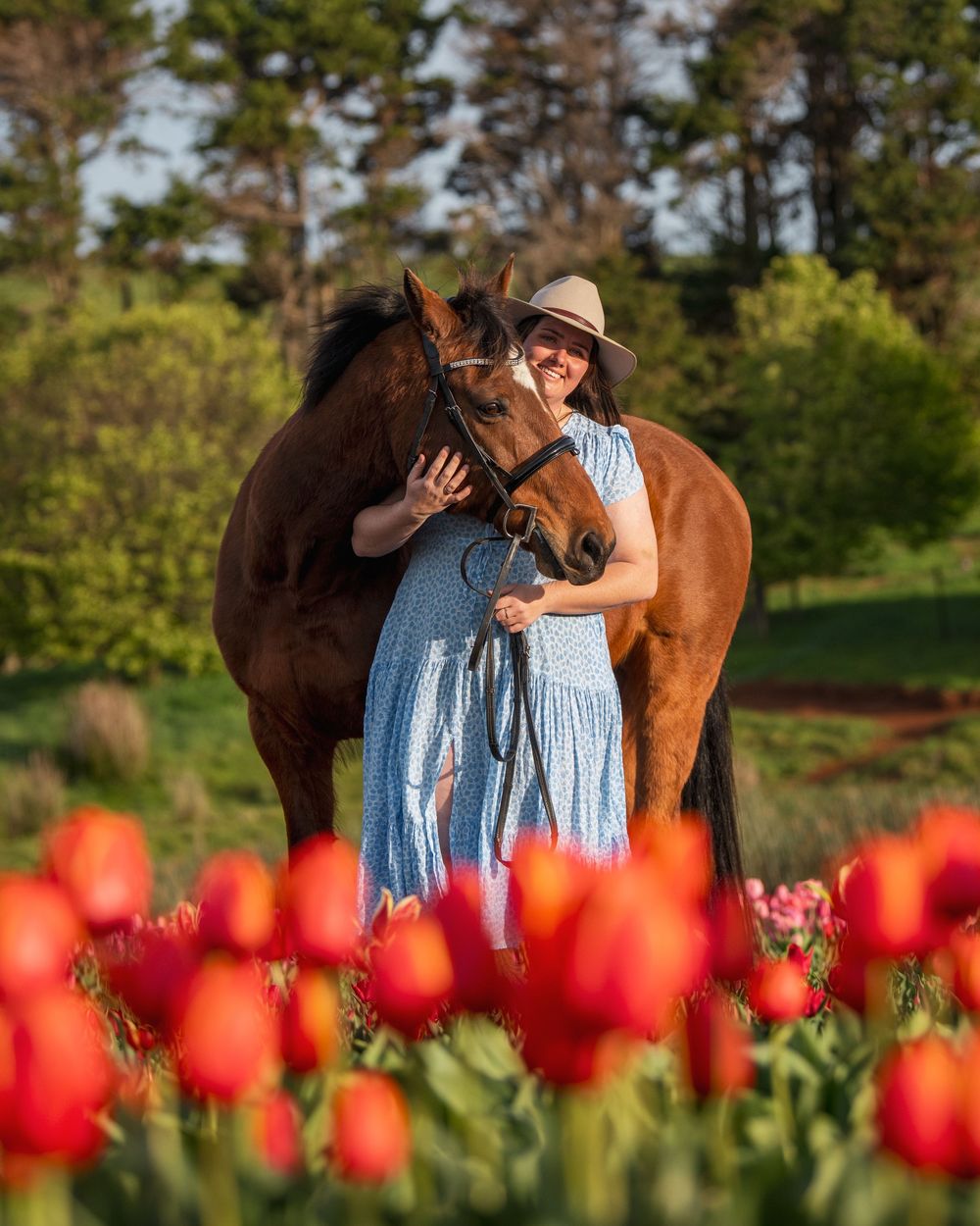 A horse nuzzles close in a garden with vibrant red tulips blooming in the foreground on a sunny spring day.
