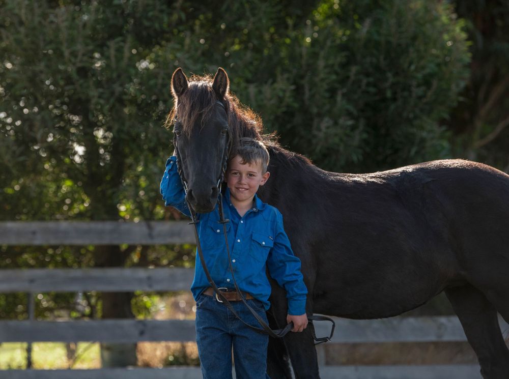 Person in blue shirt standing beside dark horse at rustic farm setting.