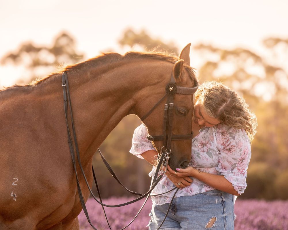 A person in a pink dress rides a chestnut horse during golden hour in a rural setting.