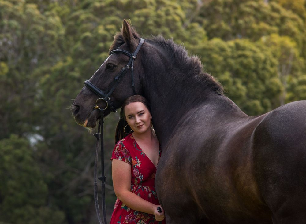 A person in a red dress poses with a majestic black horse against a nature backdrop.