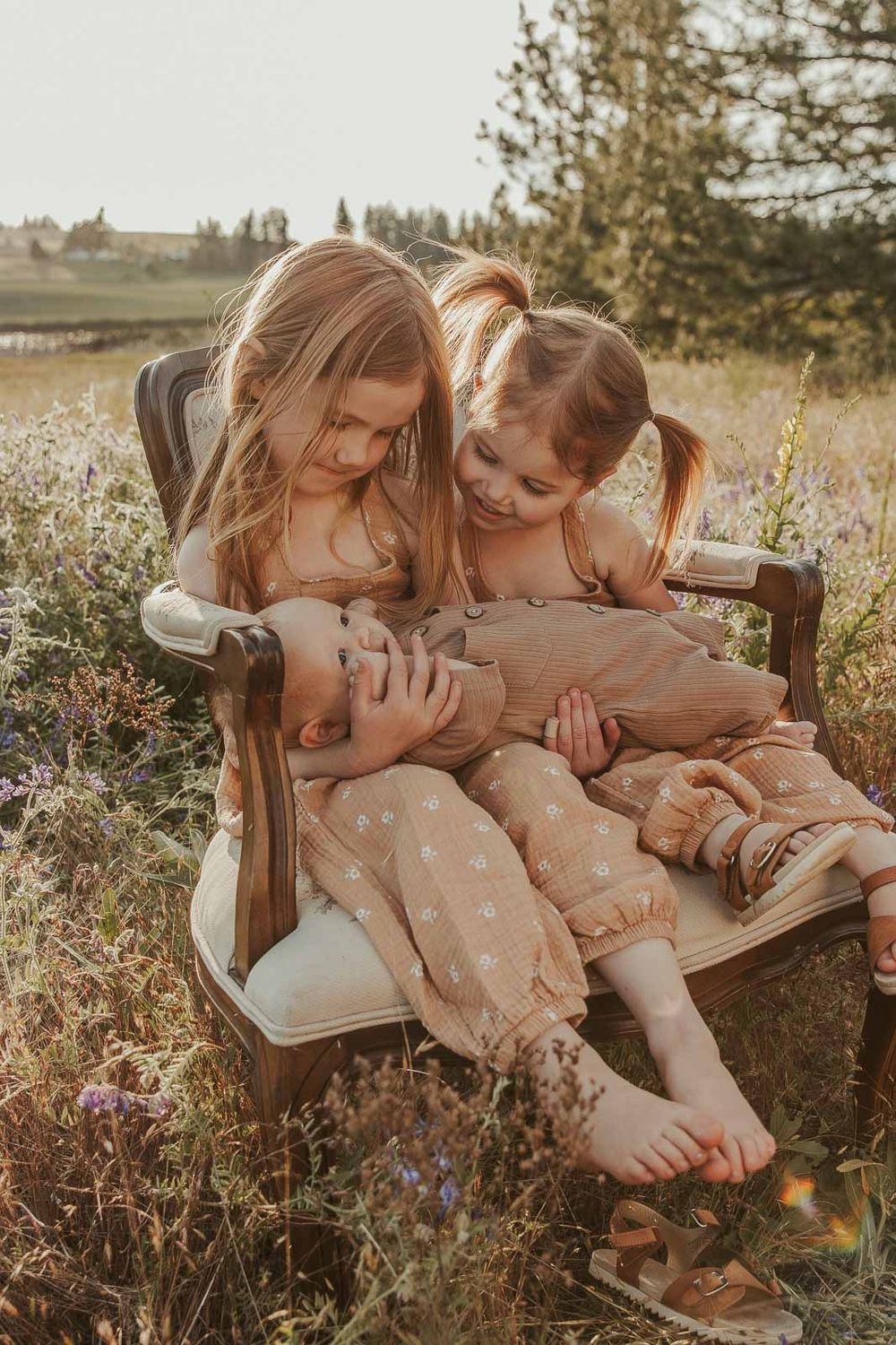 sisters sitting on vintage chair holding baby brother open flower field golden hour with a spokane family photographer