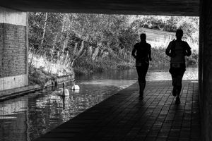 Ultra Runners silhouetted under a bridge with swans looking on