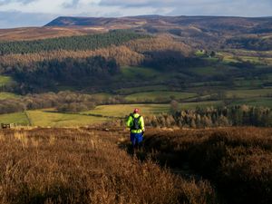 Fell Runner descending a hill in the North York Moors