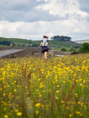 Ultra Runner passing through a summer meadow