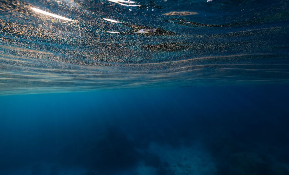 Sunlight creates sparkling patterns on the ocean's surface viewed from underwater.