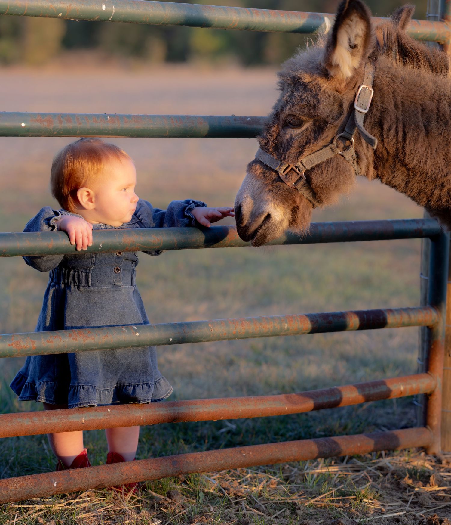"Tiny moments, captured forever".