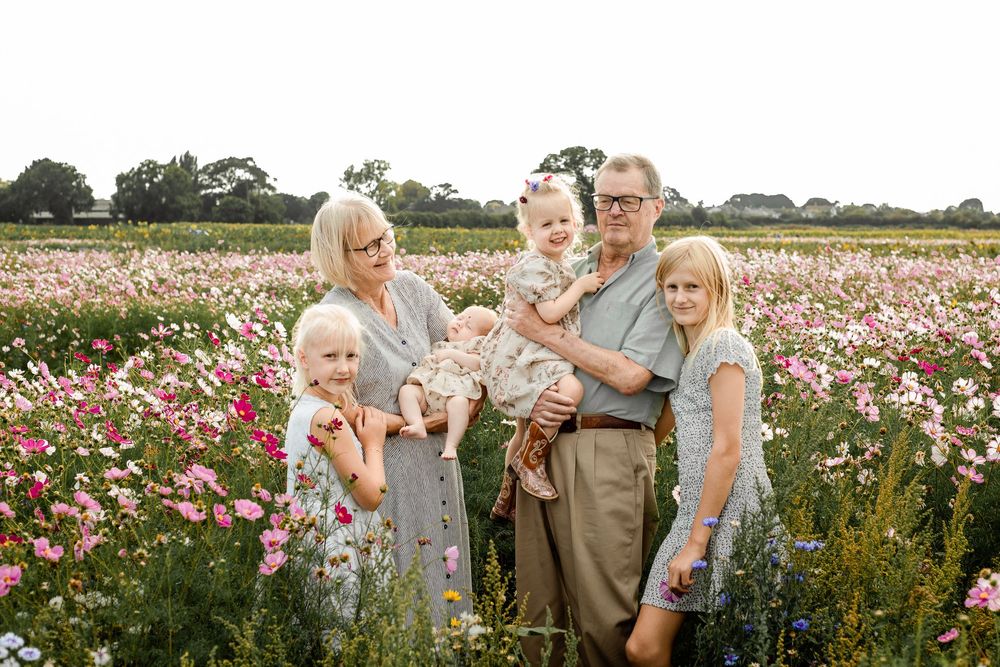 At Sam's Sunflowers on Hayling Island, Hampshire, grandparents hug their grandchildren amongst the wildflowers.