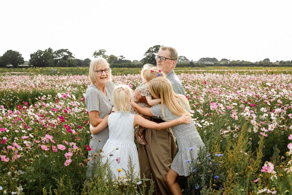 At Sam's Sunflowers on Hayling Island, Hampshire, grandparents hug their grandchildren amongst the wildflowers.