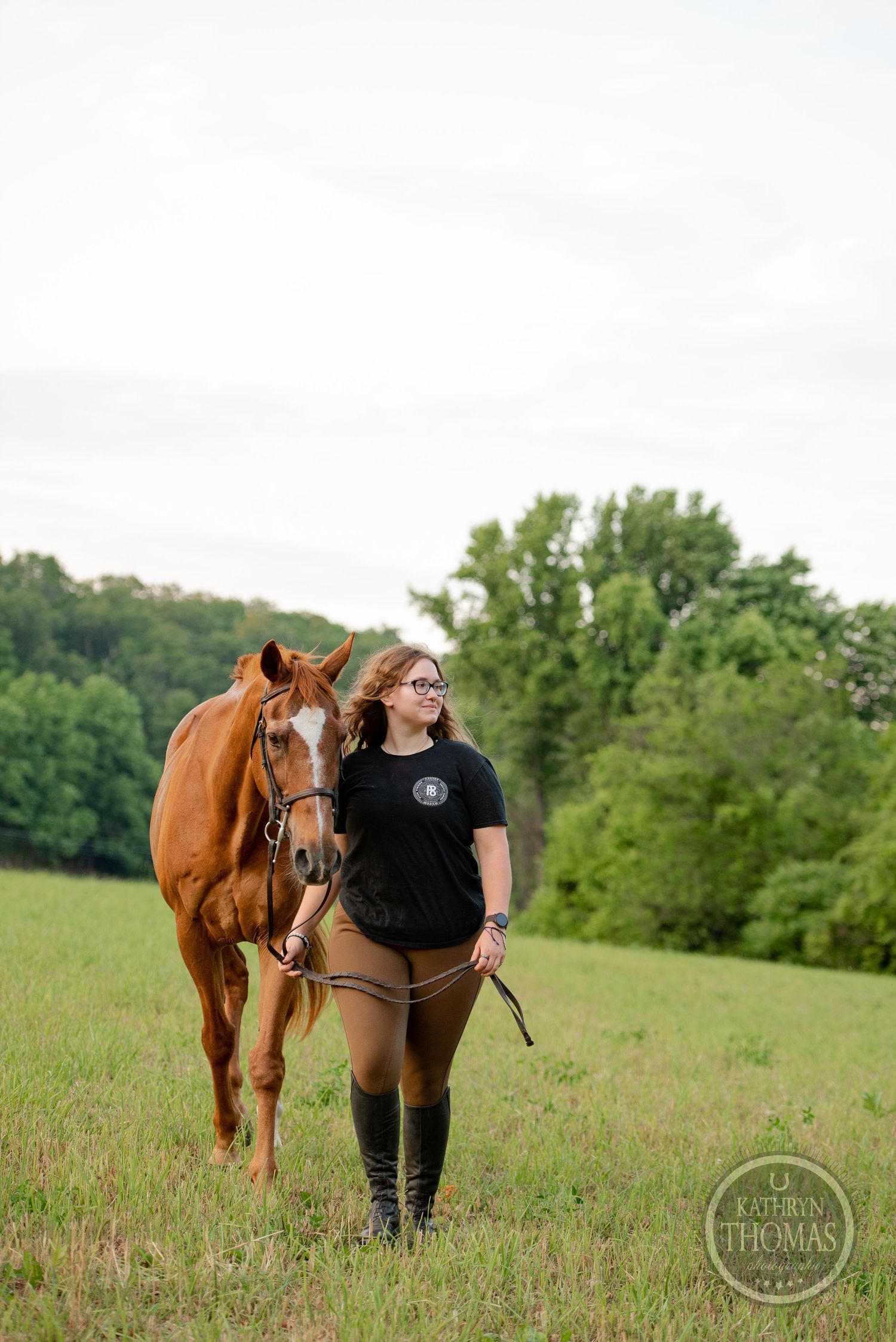 A majestic chestnut horse being led through a green pasture on a summer evening.