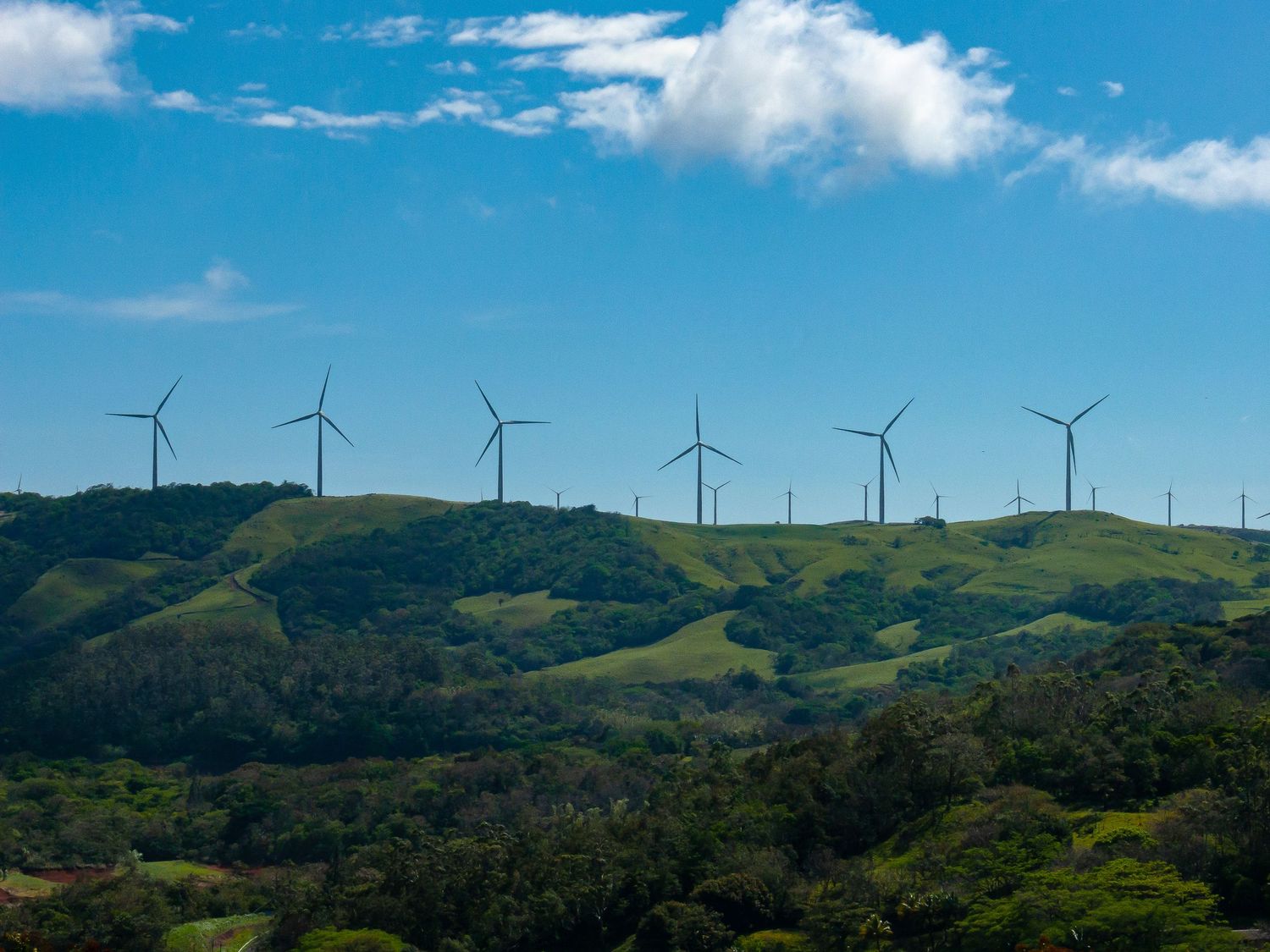 Wind turbines line the ridge of green rolling hills under a blue sky with white clouds.