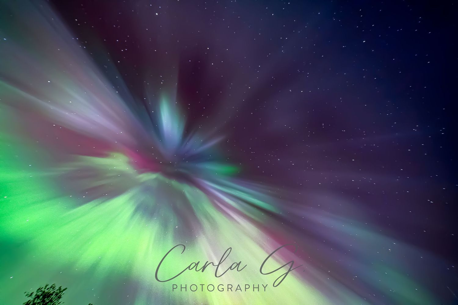 "Rebirth"  May 2024