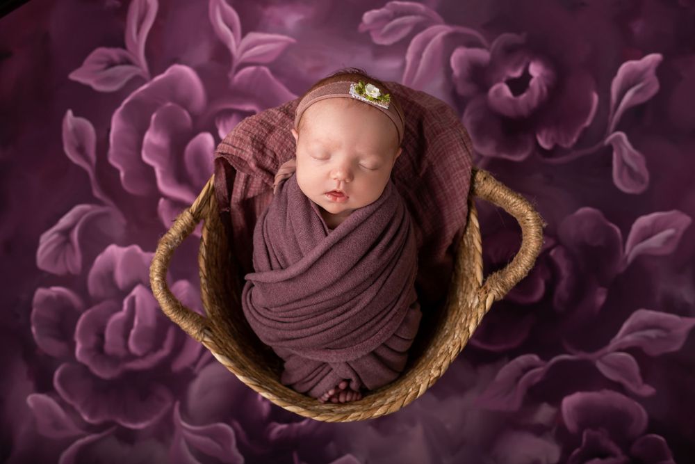 Newborn Girl with floral props and in basket in Newton NJ photography studio