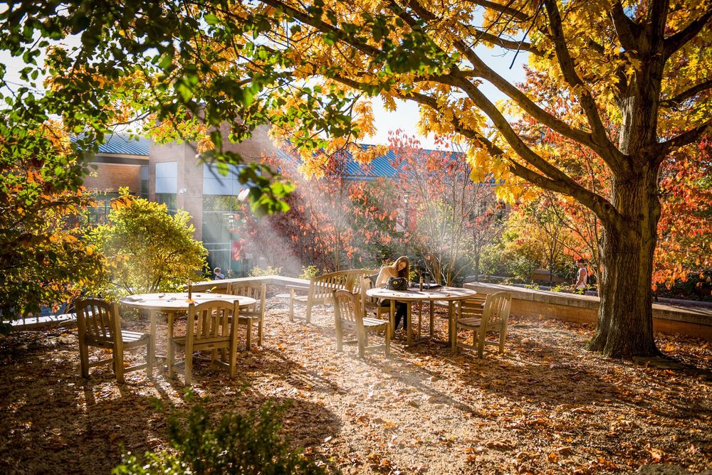 university student studying outside in fall