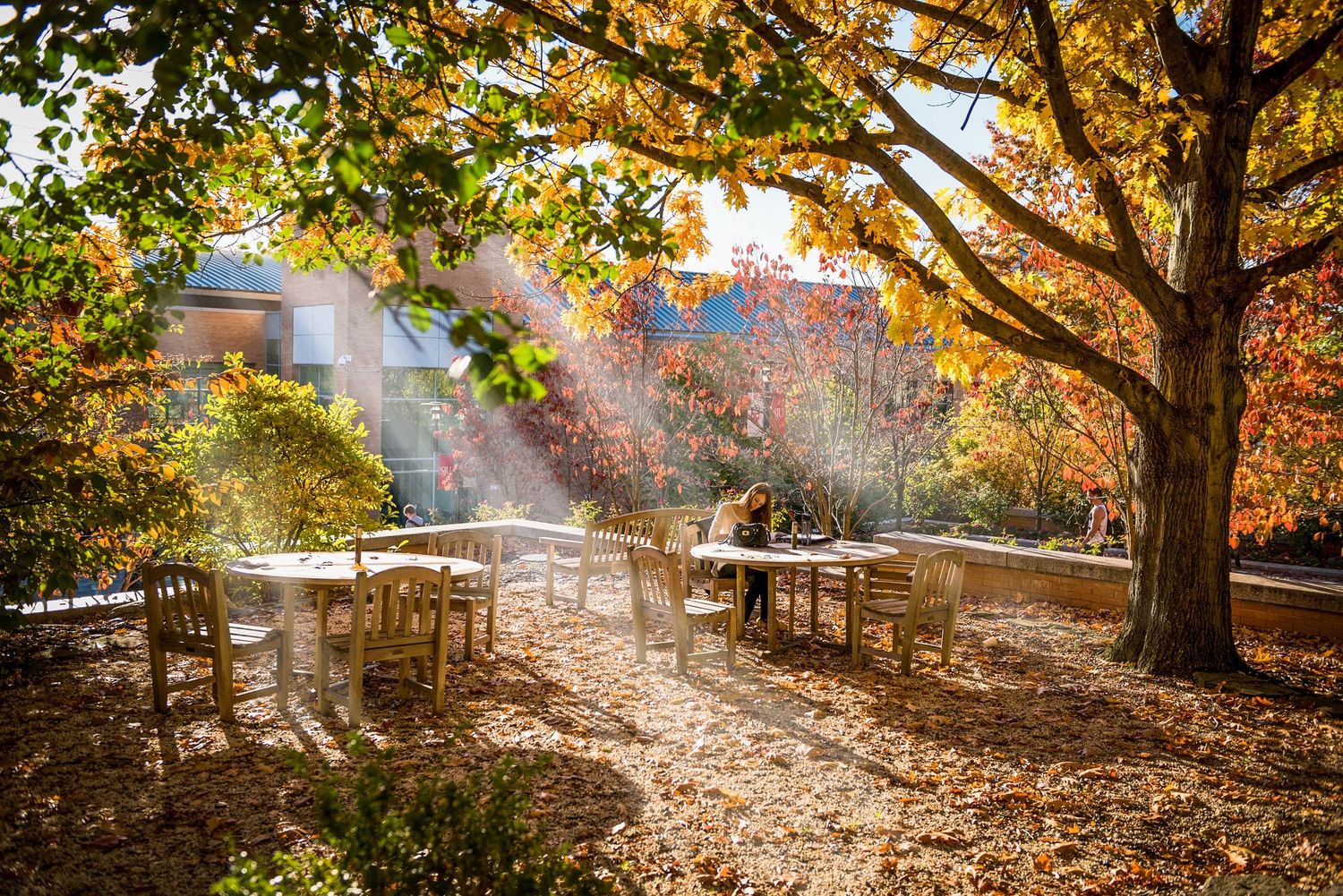 university student studying outside in fall