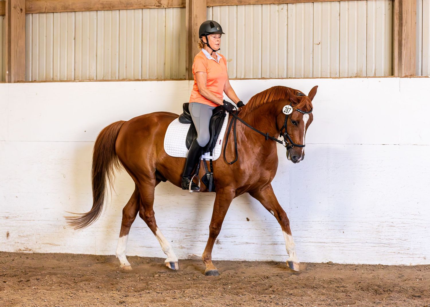 Chestnut horse and rider perform dressage movements in indoor riding arena.