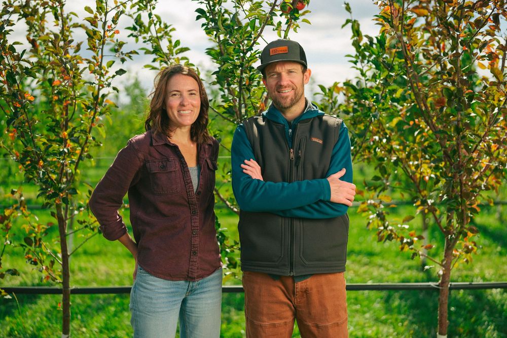 A man and woman stand smiling among apple trees in a lush green orchard on a sunny day.