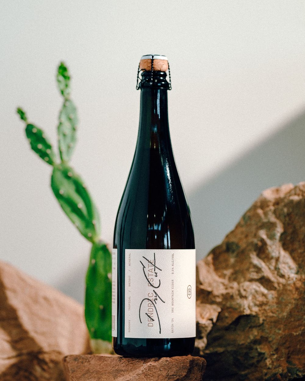 Dark glass bottle with white label sits on natural stone surface with green plant in background and soft lighting.