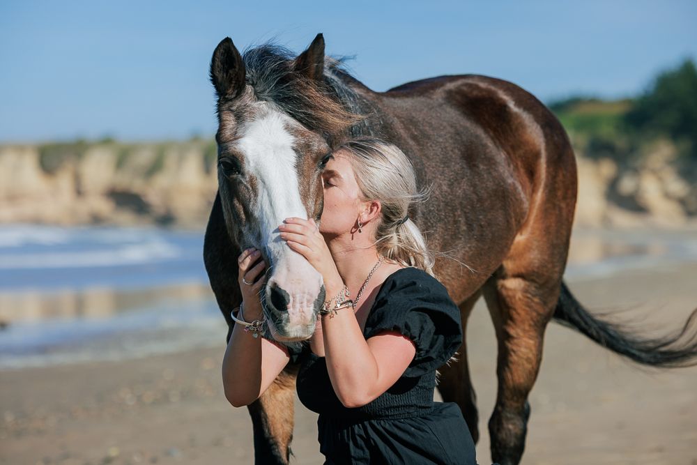Equine Portrait Photo Shoot