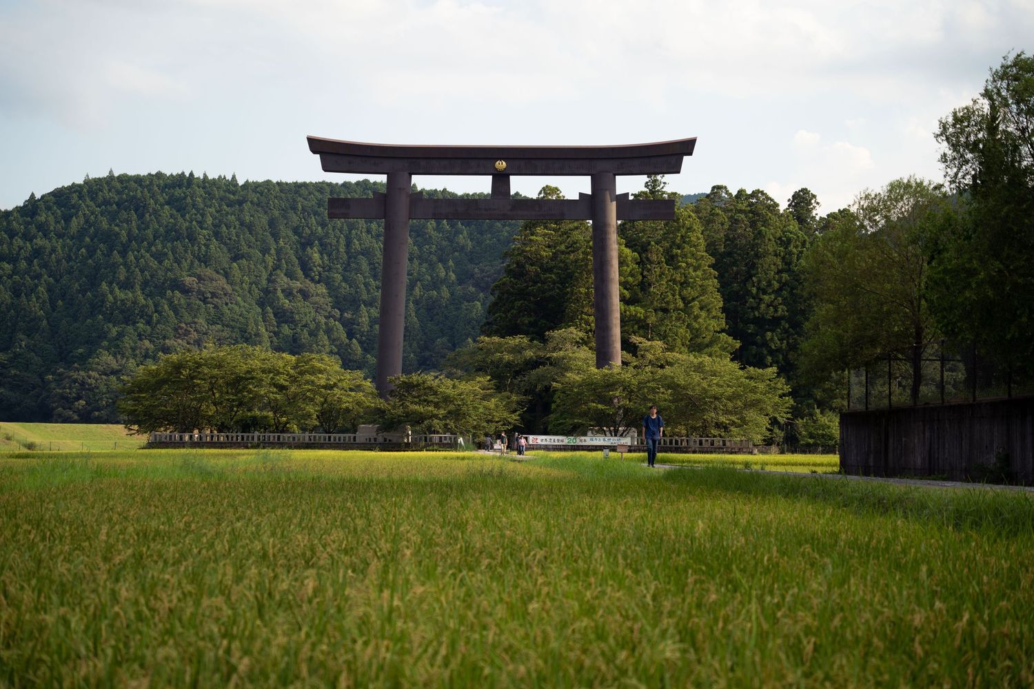 Large traditional Japanese torii gate standing in a green field with mountains in the background.