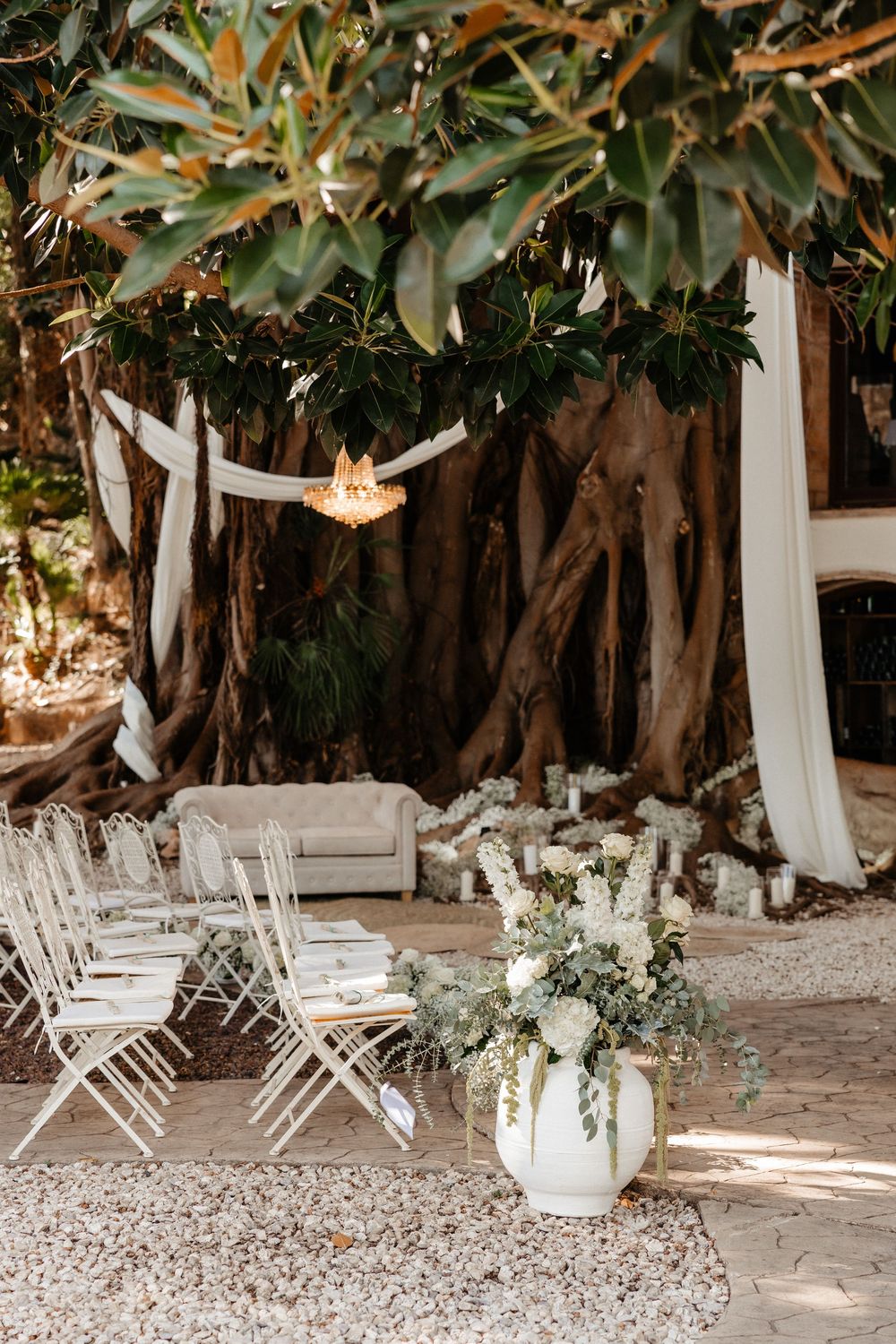 Elegant outdoor wedding ceremony setup with white chairs, floral arrangements, and draped fabric under a large tropical tree.