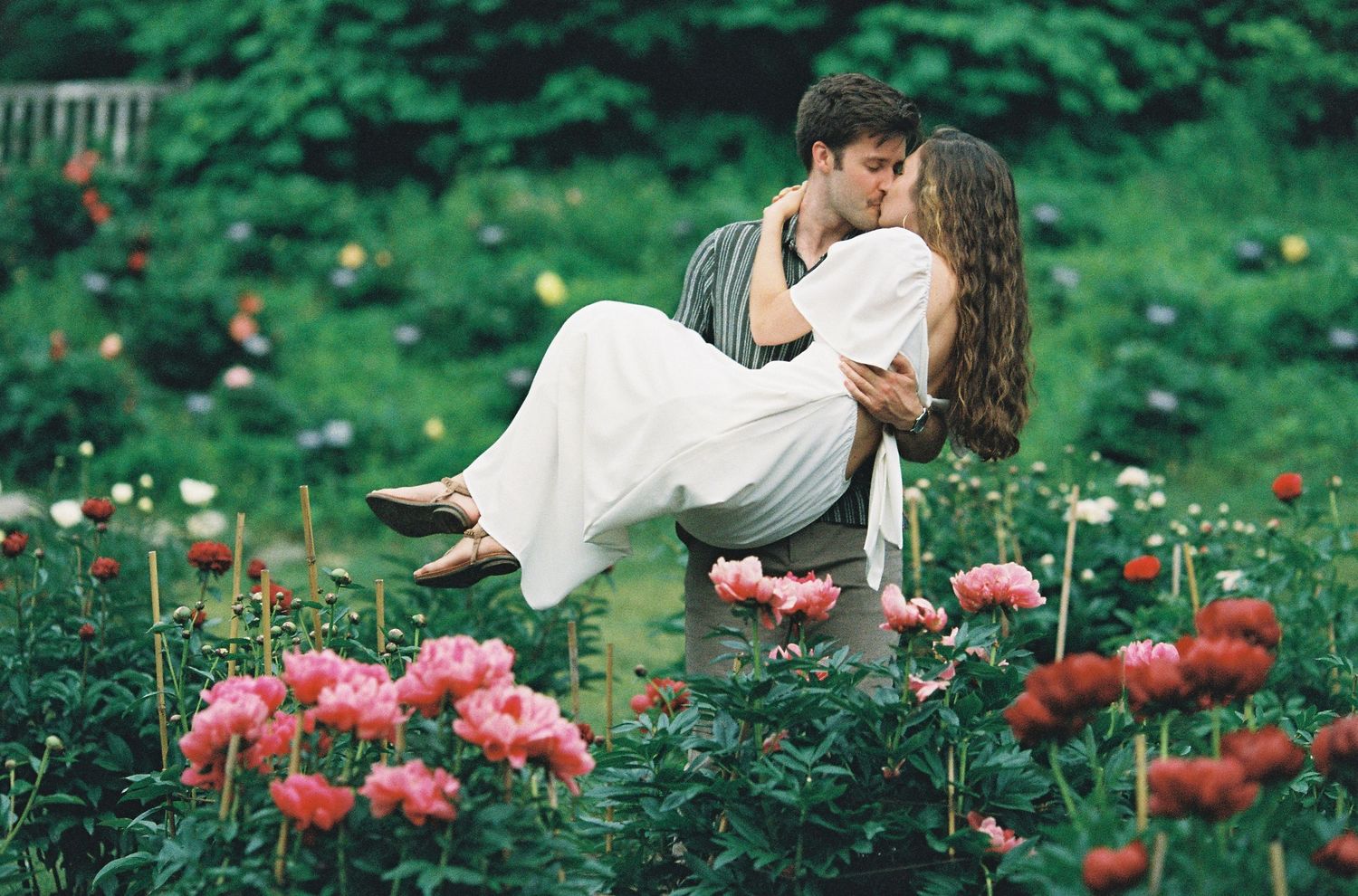 A romantic couple shares a kiss in a lush garden filled with blooming pink peonies, as the man lifts the woman.