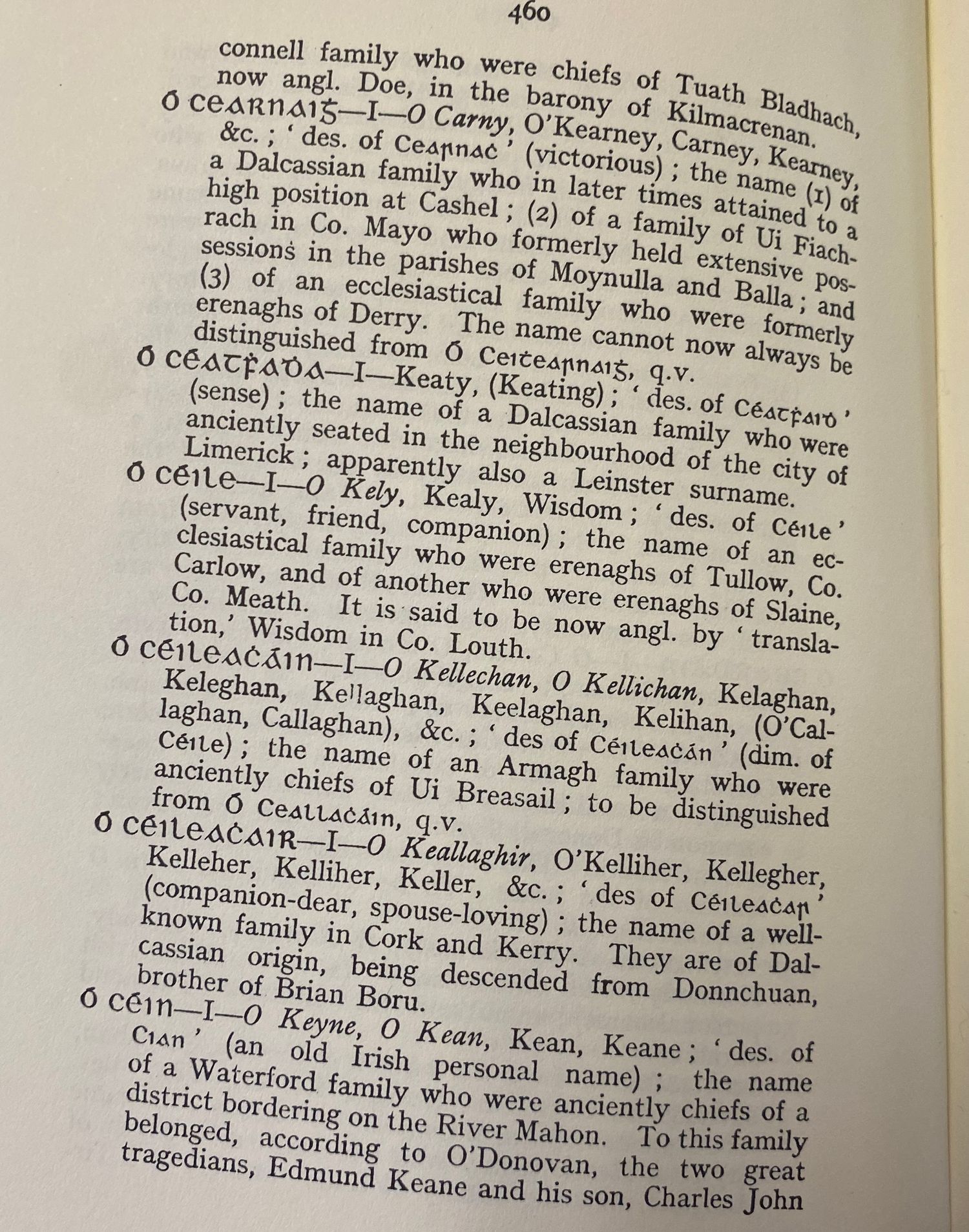 Close-up of a dictionary page showing Irish surname definitions and origins.