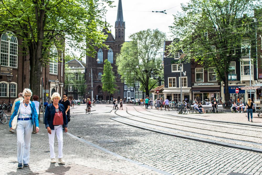 Tree-lined Amsterdam street with cobblestones and classic architecture.