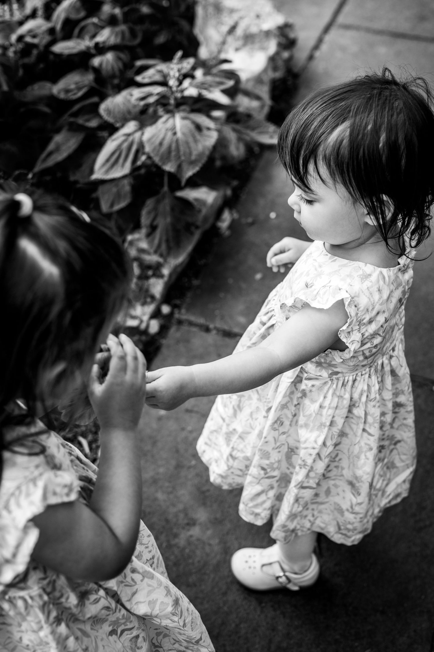 Family Photography, Portraiture