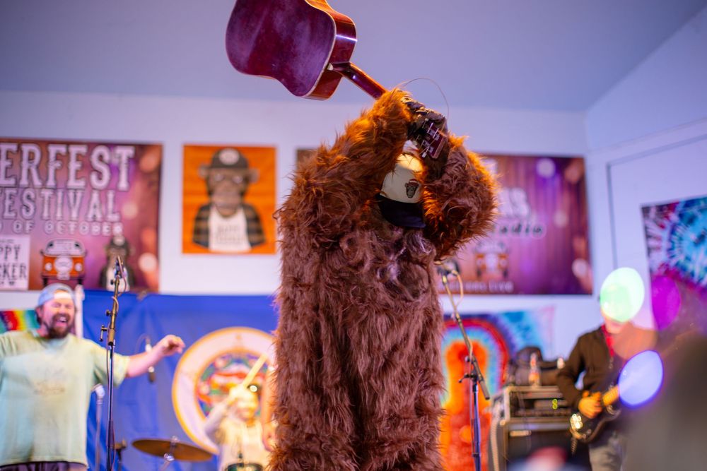 A performer in a large brown bear mascot costume interacts with a crowd during a lively event.