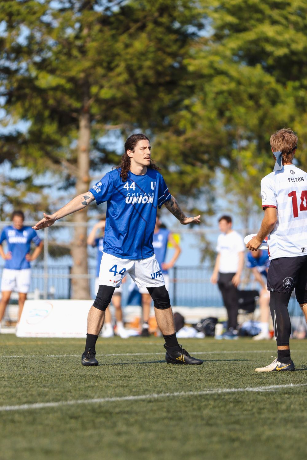 Ultimate players in blue and white jerseys competing for disc on sunny sports field.