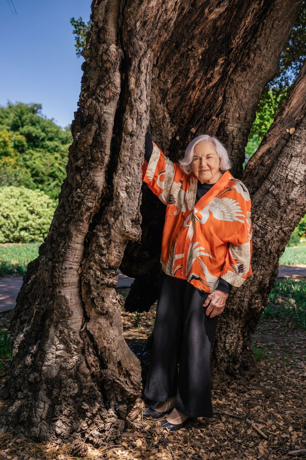 A person in a bright orange safety jacket stands smiling next to a large tree trunk in a sunny outdoor setting.