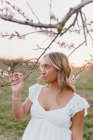 Delicate pink cherry blossoms bloom on branches against a soft natural backdrop at sunset.