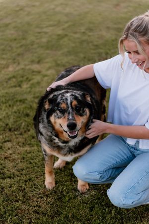 A playful dog rolling on its back in grass while receiving belly rubs from someone wearing jeans and a white shirt.