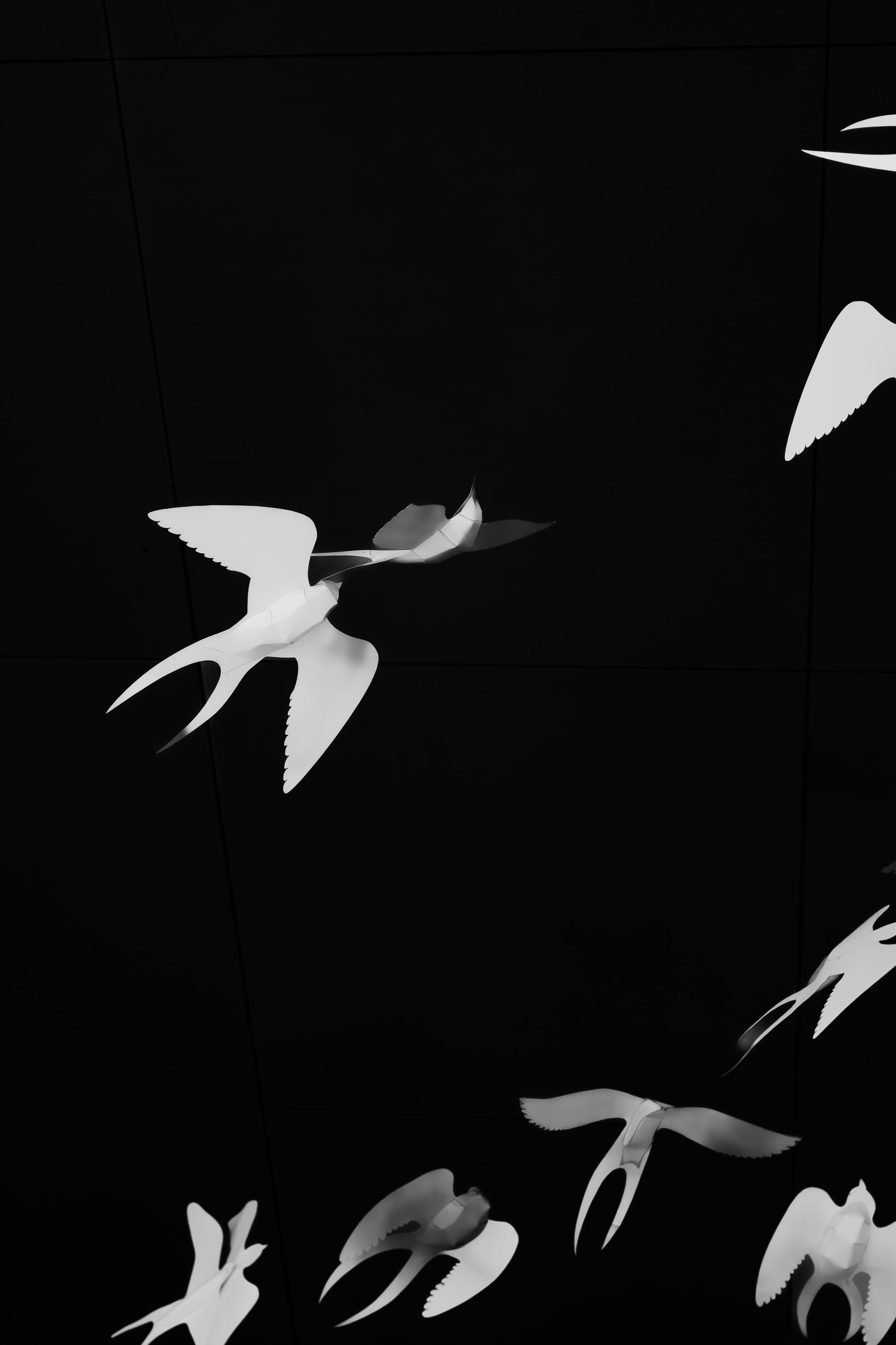Black and white artistic photograph of flying bird silhouettes against dark background.
