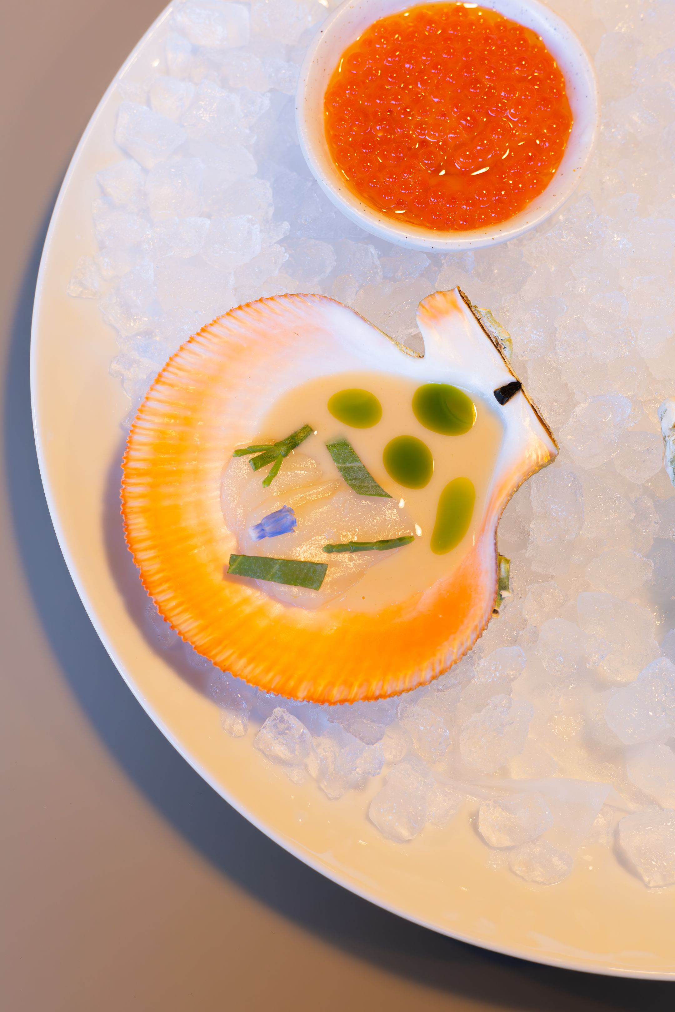 Scallop crudo with citrus sauce and green oil drops served on ice.