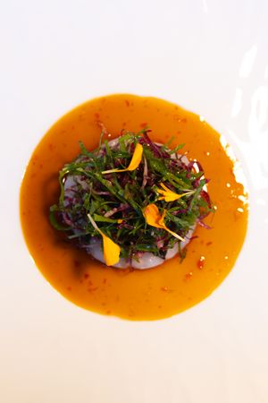 Fresh salad with microgreens and citrus sauce served on a white plate with orange reduction.