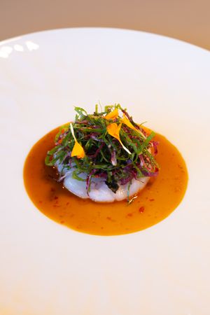Delicate fish dish topped with fresh herbs and microgreens in a vibrant orange sauce.