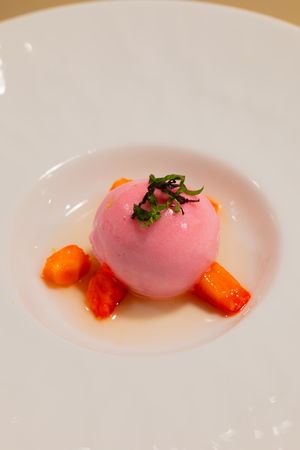Elegant pink mousse sphere with citrus segments and micro herbs on a pristine white plate.