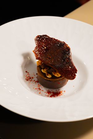 Chocolate dessert tart topped with crispy tuile and nuts on white plate.