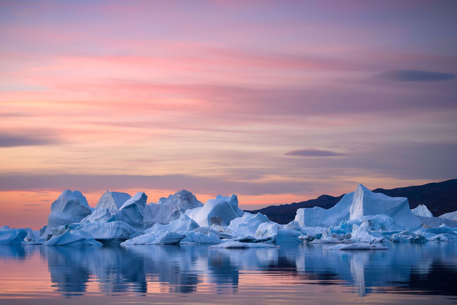 Pink sunset illuminates a field of icebergs floating in calm arctic waters.