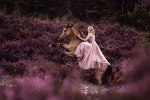 Blonde Frau in rosanem Kleid auf einem steigenden Pferd in der Heideblüte
