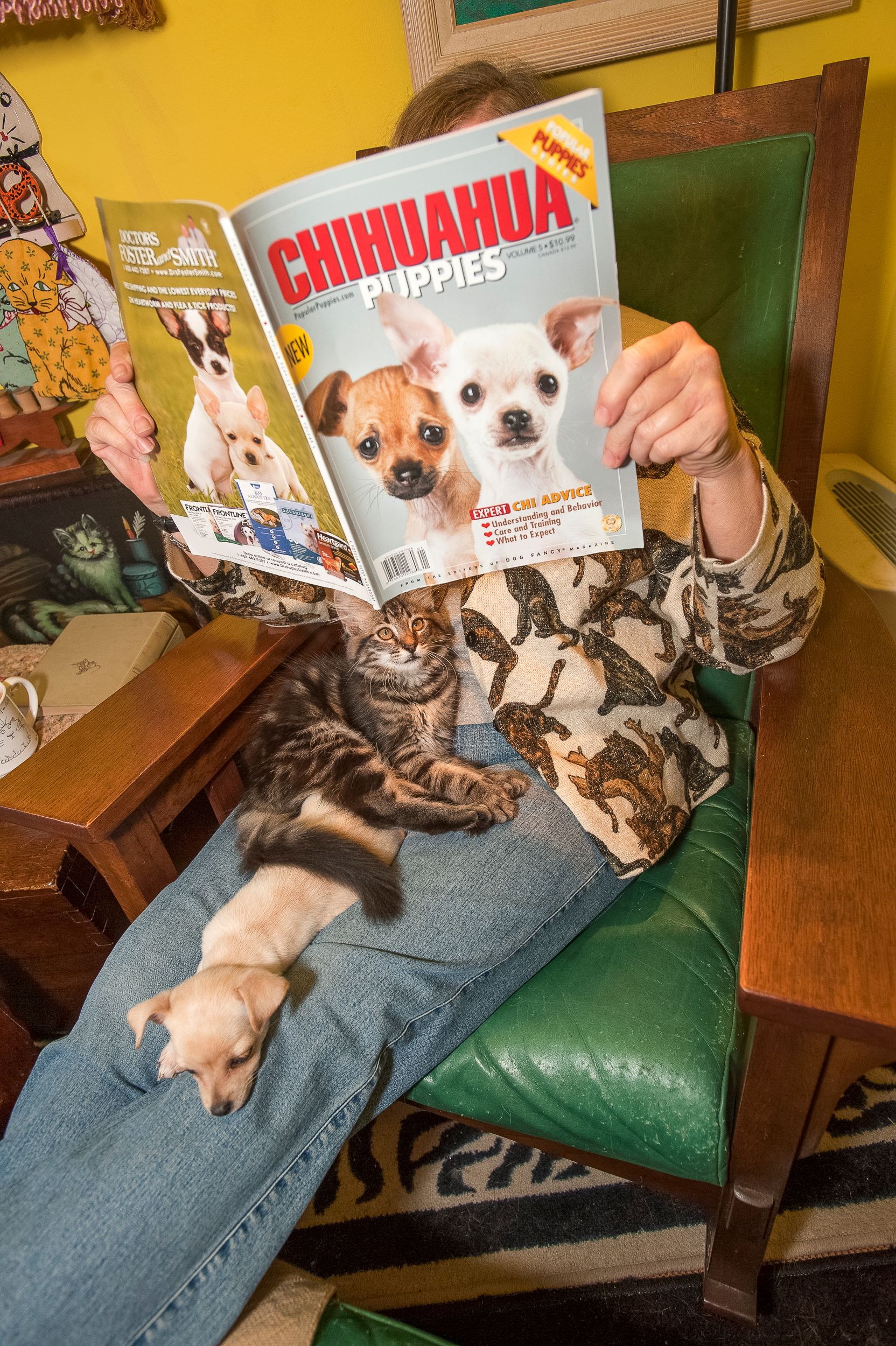 A Lost Dog Finds Cat Paradise: Tails of Love and Mischief, author and photographer Bob Walker