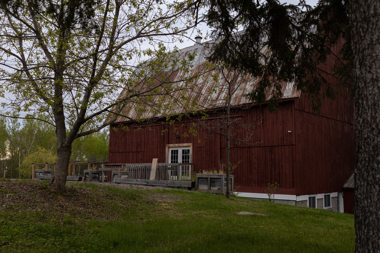 Large red barn with white trim windows nestled among trees on a hillside.