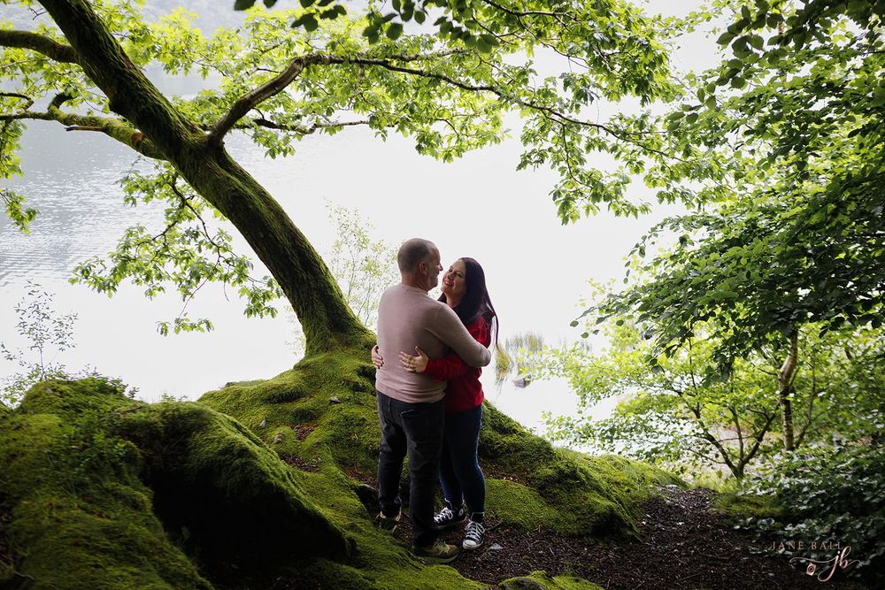 People enjoy a scenic view from a moss-covered tree branch overlooking a lush green forest landscape.